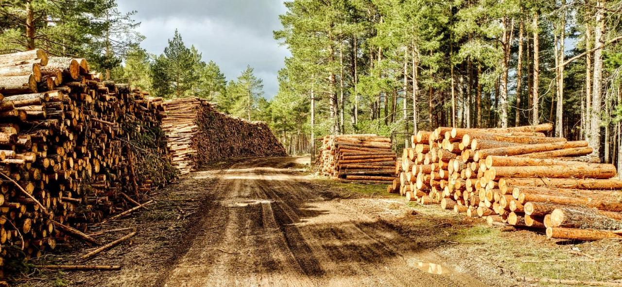 Alojamiento Rural Los Hacheros トラガセテ エクステリア 写真