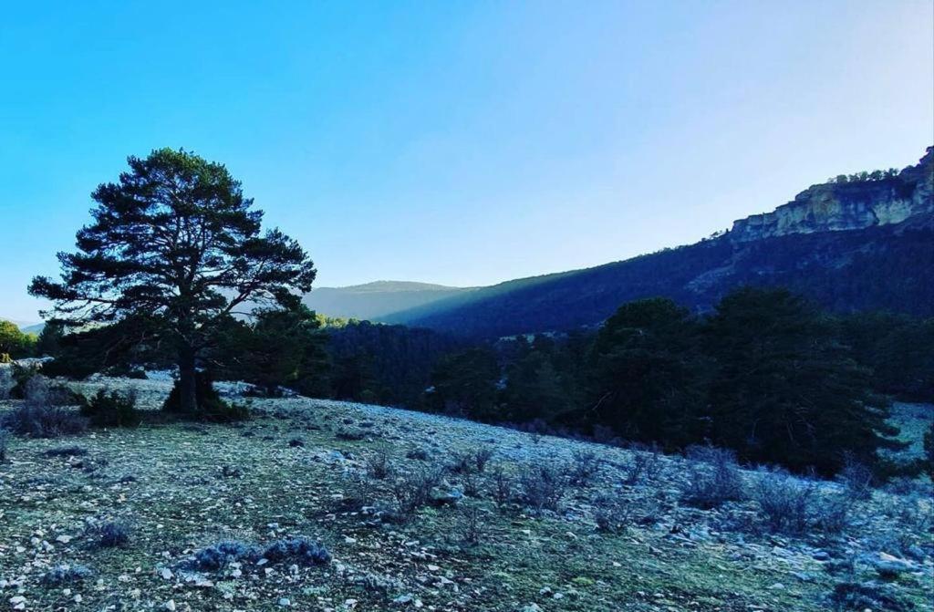 Alojamiento Rural Los Hacheros トラガセテ エクステリア 写真