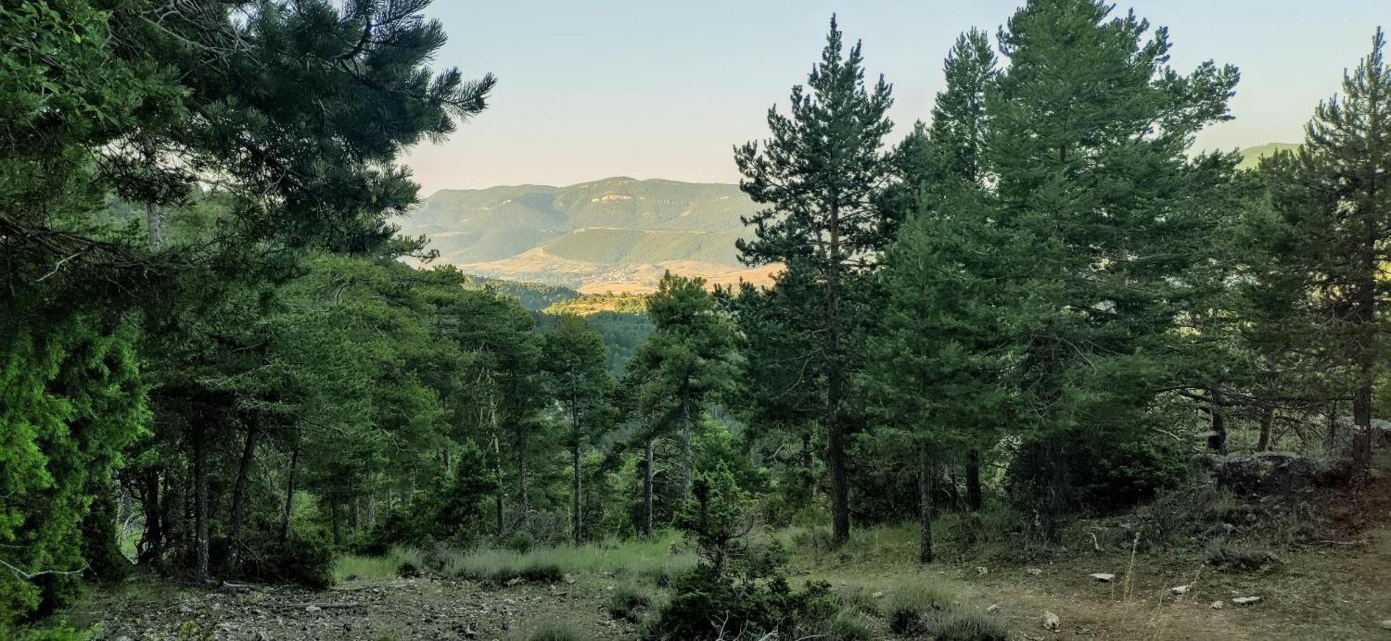 Alojamiento Rural Los Hacheros トラガセテ 部屋 写真